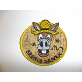 e1304 US Navy Vietnam Bronco Driver Pilot IR14B