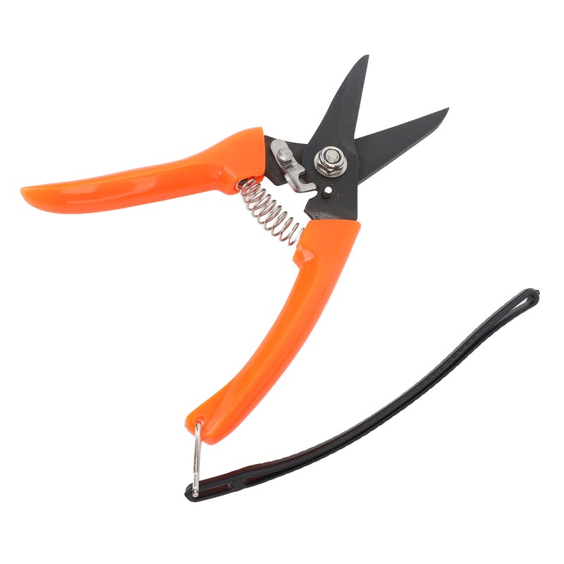 Hoof Shear Red Stainless Steel High Carbon Steel Multifunctional Hoof