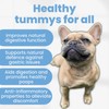 TJ Pro Digestive Support Gravy for Dogs with Sensitive Stomachs,