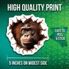 Orangutan Stickers - 3D Animal Stickers - Wildlife Decor -