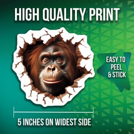Orangutan Stickers - 3D Animal Stickers - Wildlife Decor - 2 Pack - 5" On Longest Side - Made in USA - PLDFS4205