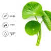 Medicare Plus Centella asiatica extract cream ointment to improve dry
