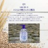 Reihaku Demon Barley Baby Oil, 10.1 fl oz (300 ml)