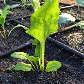 Garden Grid Watering System | Preassembled Drip Irrigation, Soaker Hose & Sprayer Style kit, in one | Raised Beds, Planters, Containers, Square Foot Gardening - 2x4 (22.5"x44")