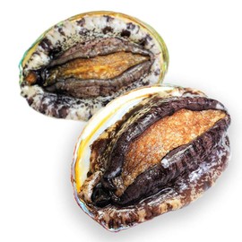 Live Ezo Abalone Set (2.1 / 2.4 oz (60/70 g), 4 pieces, Please specify the delivery date and time for living