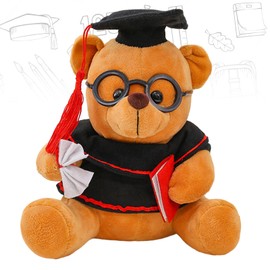Teddy Bear Plush Toy, Exam Bear, Teddy Plush Bear with Diploma and Doctoral Hat, Bachelor's Degree Gift, Graduation Gift, Bachelor Gift, Passed Exam Gift, Gifts for Bachelor Degree