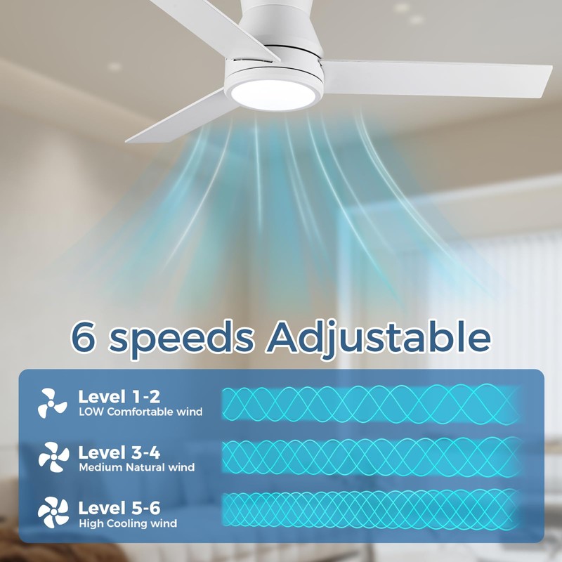 CSWF Ceiling Fan with Light Remote Control - Flush Mount