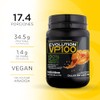 Evolution VP100 Proteína Vegana de Chícharo y Arroz