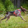 Non-stop dogwear FREEMOTION Harness 5.0 |111| Dog Harness for All