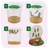 Insect Lore Butterfly Garden with 10 Live Baby Caterpillars -