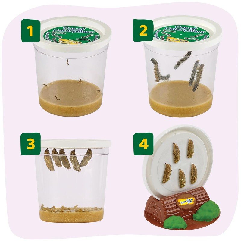Insect Lore Butterfly Garden with 10 Live Baby Caterpillars -