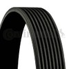Contitech 8PK2630 Stiée Belt