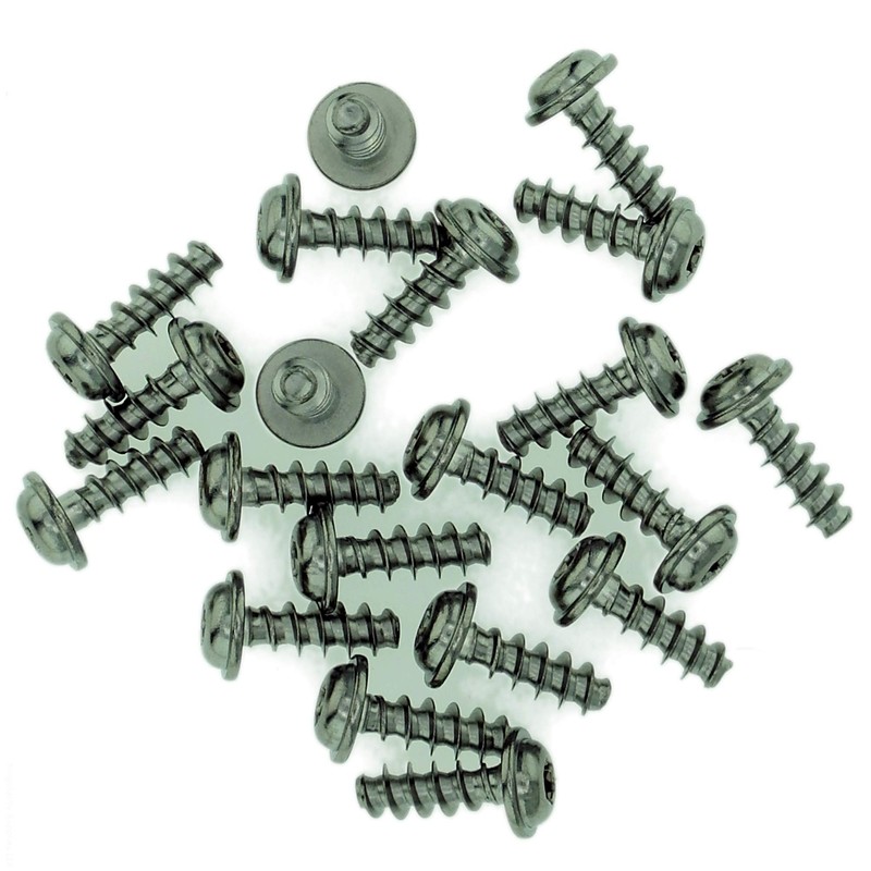 D3 (3mm x 8mm) TX Pan Screws for Plastic (Flanged)