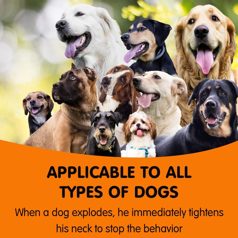 Slip Lead for Dogs Leash Explosion-Proof Strong Adjustable Collar Thin