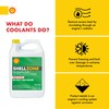 Shellzone 50/50 Pre-Diluted Antifreeze + Coolant (1 Gallon, Single Pack)