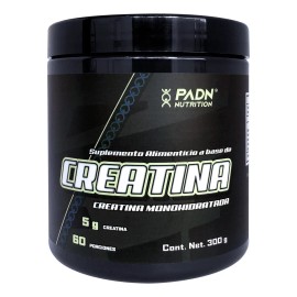 Padn Nutrition Creatina Monohidratada Polvo 300g Sabor Sin sabor