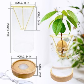 Avocado Vase, Avocado Seed Starter Vase with Wood Multicolor LED Light Base, Avocado Growing Kit with Plant Support, Acorn vase, propagation stations for Forcing Hyacinth and Tulip Bulbs(Golden)
