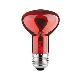 Paulmann 82976 Reflector R63 40W E27 230V Infrared, 40 W, Red