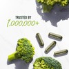 50MG Sulforaphane Supplement from Broccoli Sprouts | NRF2 Activation, Cellular