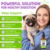 Probiotics for Dogs, 3 in 1 Dog Probiotic Drops, Dog