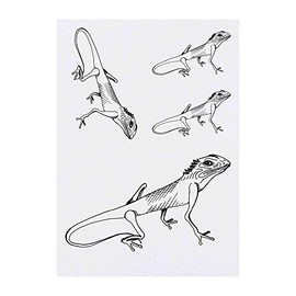 4 x 'Curious Lizard' Temporary Tattoos - Water Resistant, Skin-Safe, Non-Toxic Transfers, Mixed Sizes (TO00009656)