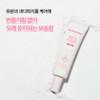 Innisfree 데일리 UV 톤업 노세범 선크림 라벤더 Daily UV Tone-Up