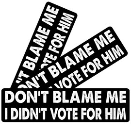 11x3inch(3Pcs) - Don't Blame Me I Didn't Vote for Him Bumper Sticker - Don't Blame Me I Didn't Vote for Him Sticker - Funny Sticker
