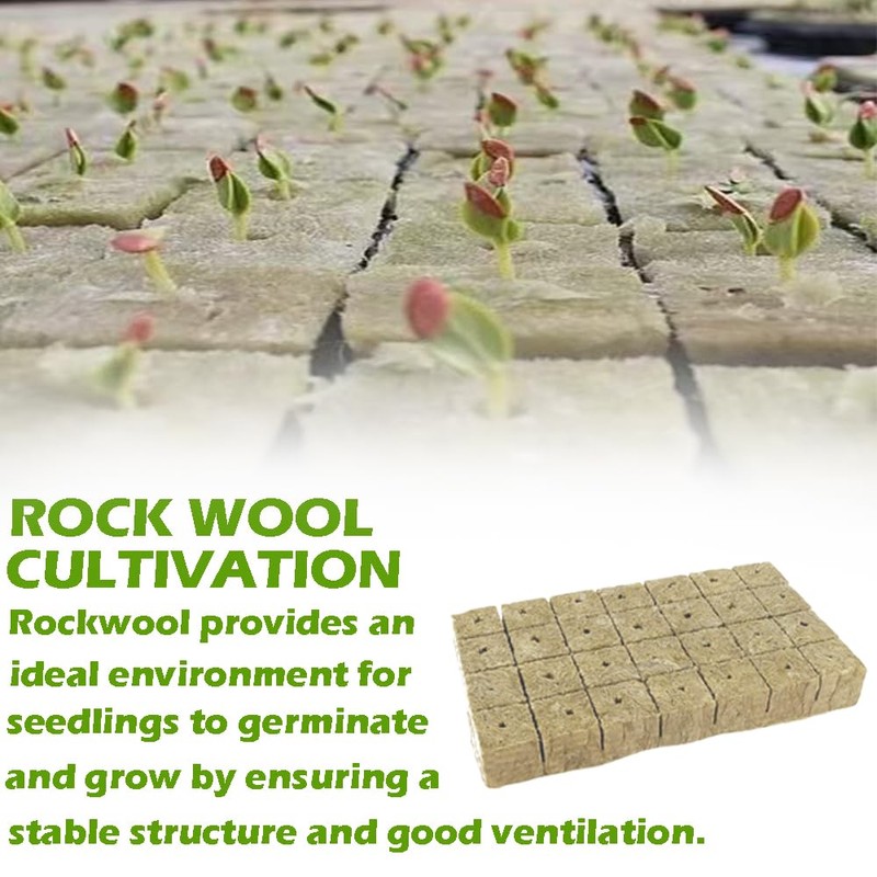 Rock Wool Cultivation 50 Pieces Rock Wool Cube Rock Wool