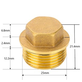 Pack of 2 3/4 Inch Brass Plugs, 3/4 Inch Male Thread Sealing Plug, Blanking Plug, Pipe End Cap with Rubber Ring, Suitable for Pipe Connection Bathroom, Heating and Drinking Water Systems, Water
