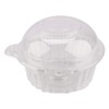 Plastic Containers, Clear Containers, 100Pcs Cat Shape Individual Clear Fruit