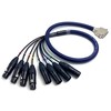 Fupiomeef 3.28ft DB25 to XLR Snake Cable, DB25 Male to