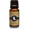 Eternal Essence Oatmeal Cookie Dough Fragrance Oil - (10ml)
