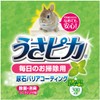 GEX Gex Rabbit Pika Daily Cleaning 10.1 fl oz (300