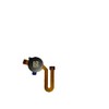 ruichuang Fingerprint Sensor Flex Cable Replacement for Motorola Moto G