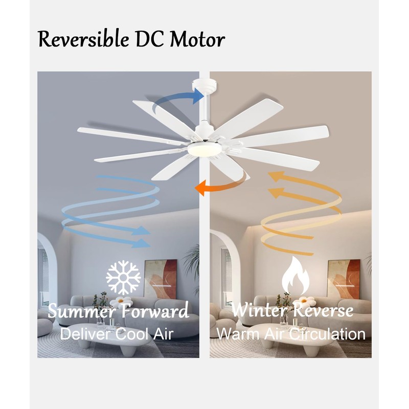 JSAITEE Ceiling Fan with Light and Remote/APP Control, 62 inch