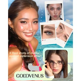 Wispy Lash Clusters Natural Fluffy Cluster Eyelash Extensions 168Pcs Waterproof Individual Lash Extensions10-16mm Eyelashes Clusters for DIY by Goddvenus （CC Curve）