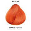 L'OREAL TECHNIQUE HiColor Blonde HiLights Permanent Hair Color For Dark