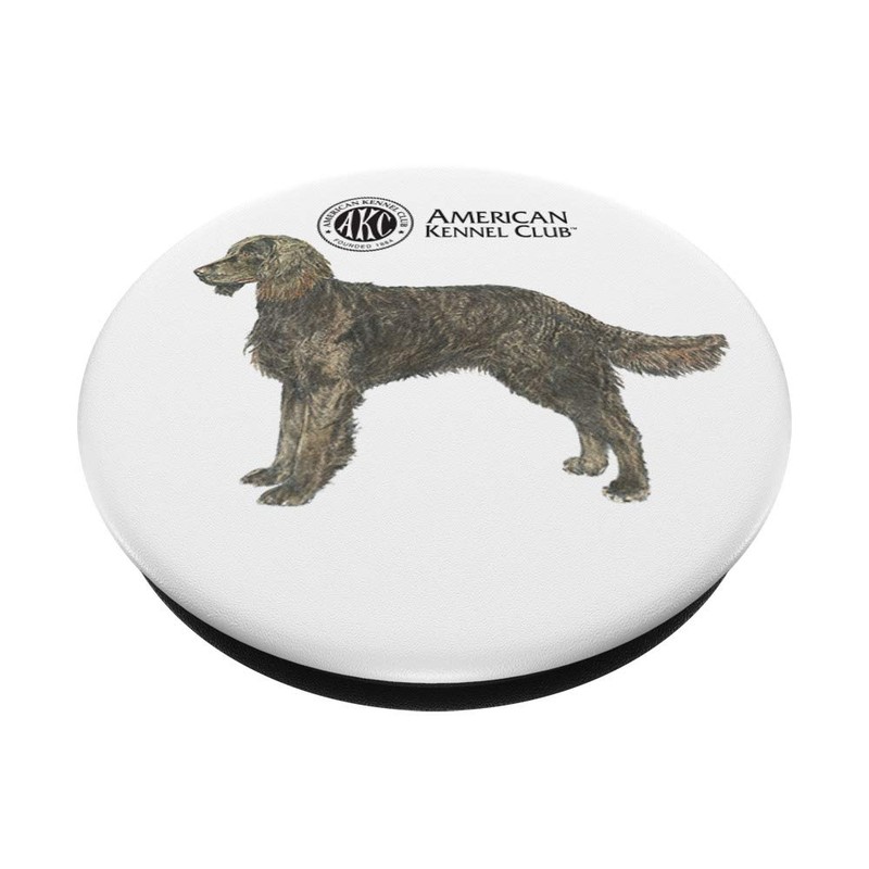 AKC American Water Spaniel PopSocket