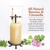 Candle by the Hour 80-Hour Citronella Candle, Glass Cylinder, Eco-friendly