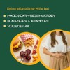 Digestive Drops 20ml Solution