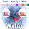 AQUAVERITY Aquarium Test Strips, 100 Fish Tank Test Strips for