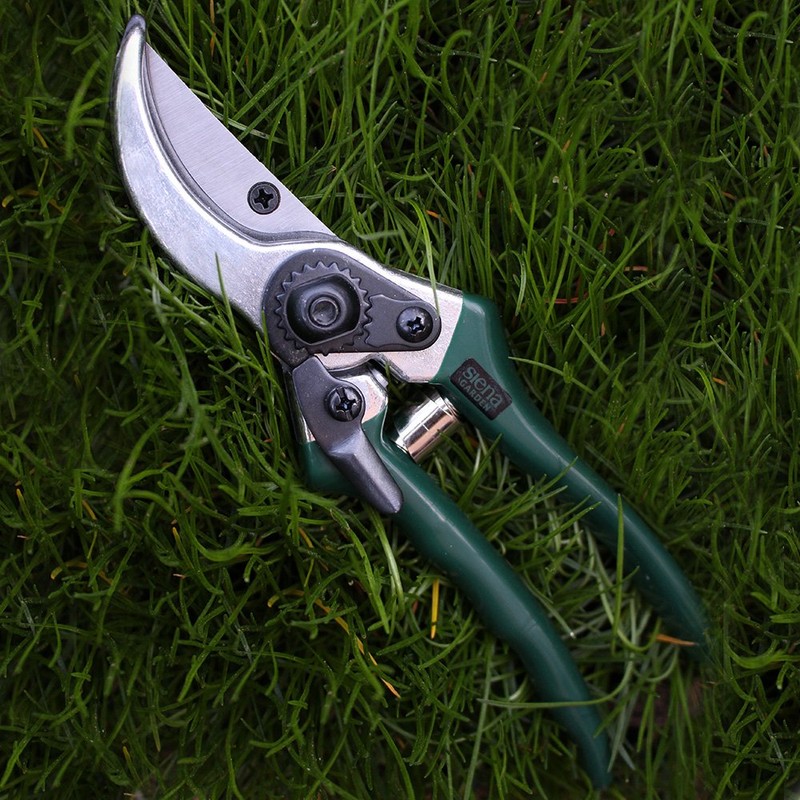 Siena Garden 560866 Garden & Rose Shears, Flower Shears, Green