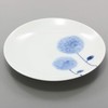 Hama Pottery 385889 Hasami Pottery Wayama Kiln Flowers Small Plate,
