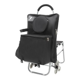 Art Cart, Rolling Art Cart, Folding Art Cart, Portable Rolling Chair with Drawing Storage Bag, Suitable for Grocery Shopping, Mall Shopping, Leisure Travel, Outdoor Painting (Black)