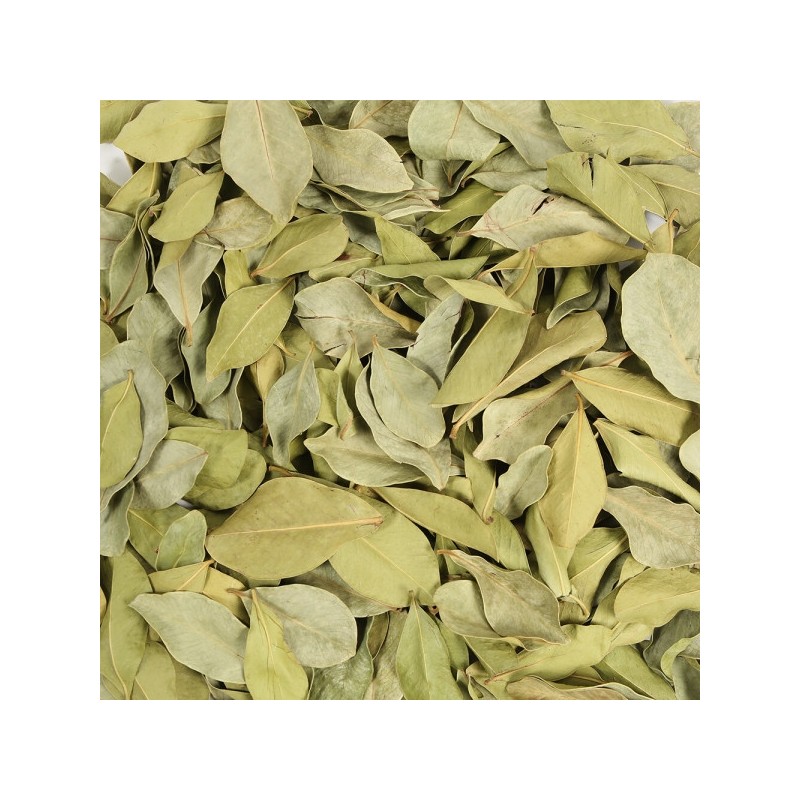 3 150g domestic guava leaves guava leaf tea / 국산