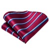 Hi-Tie Classic Mens Silk Ties Set 4 PCS Necktie Pocket