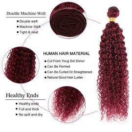 Labamiya 99J Jerry Curly Human Hair Bundles 18 20 22 inch Wine Red Human Hair Bundles Burgundy for Black Women Soft Hair Extensions