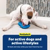 PetSafe Chilly Penguin Freezable Treat Holding Dog Toy, Medium/Large