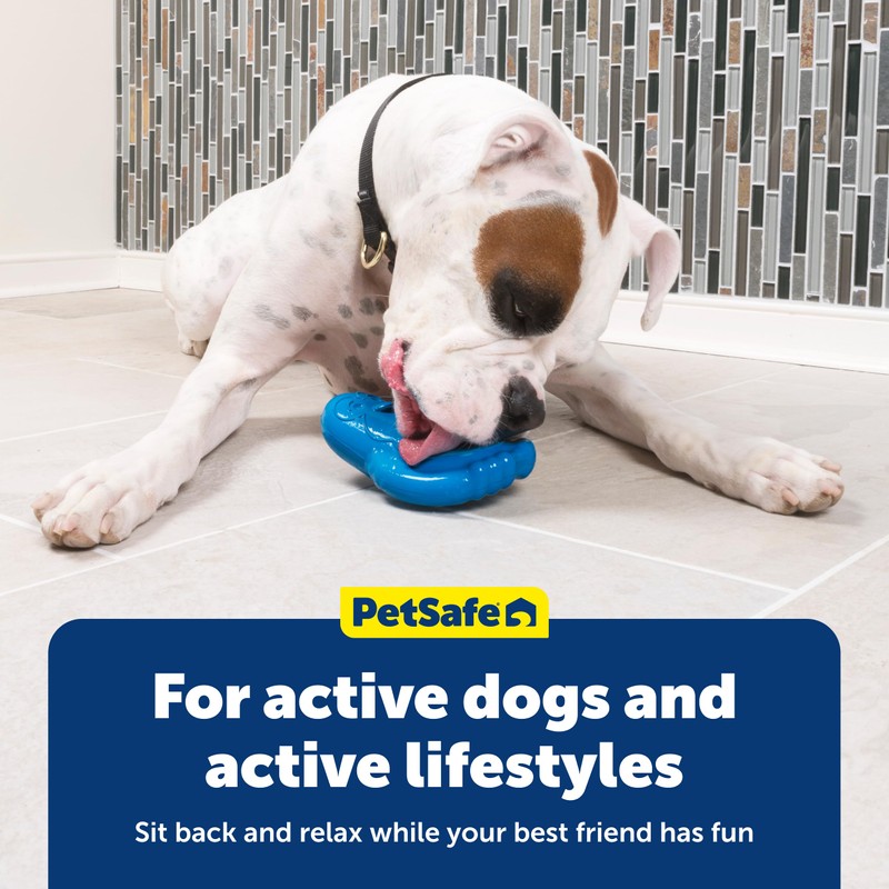 PetSafe Chilly Penguin Freezable Treat Holding Dog Toy, Medium/Large