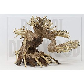 Driftwood Aquarium Tree AS Random Pick (6in H x 8in L) Natural, Handcrafted Fish Tank Decoration | Easy to Install